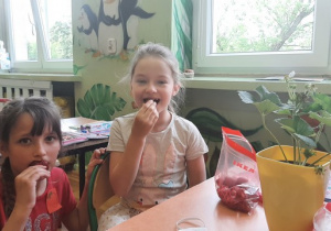 Zdjęcie dwóch uczennic klasy 1a zajadających się truskawkami.